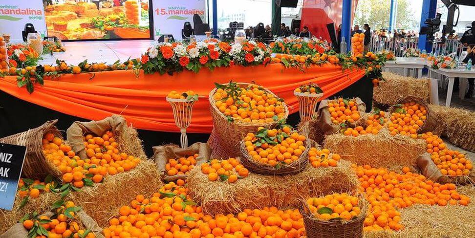 Festival Etkinlikleri